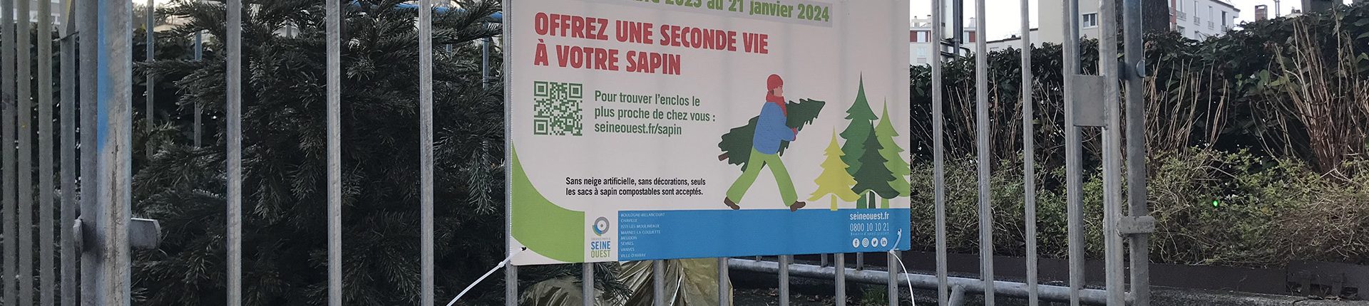 Recyclez vos sapins de Noël en les déposant dans les enclos de GPSO