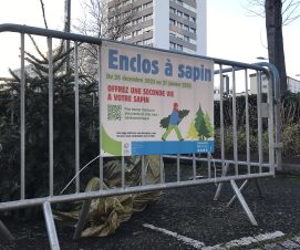 Recyclez vos sapins de Noël en les déposant dans les enclos de GPSO