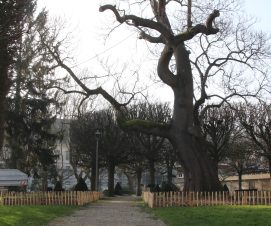 Le square Madame de Pompadour bientôt accessible à tous